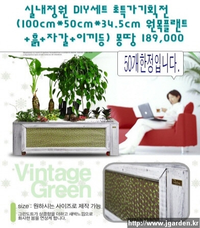 정원플랜트 이미지