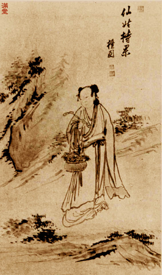 신선도 이미지