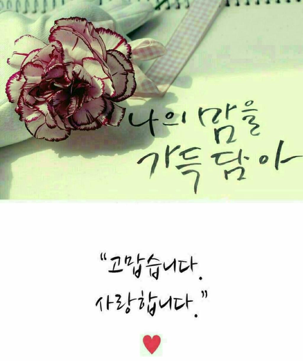 지고지순 이미지