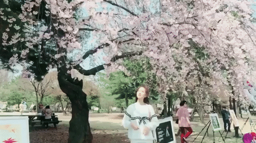 최근 진세연 인스타그램 | 인스티즈