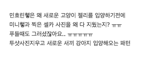 악플 엄청 받고 있는 민효린 반려 동물 사건 정리 글.......jpg | 인스티즈