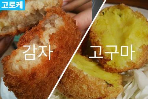 감자vs고구마 세기의 대결! | 인스티즈