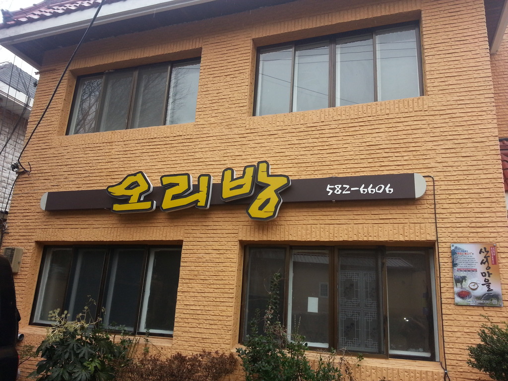 금정오리 이미지