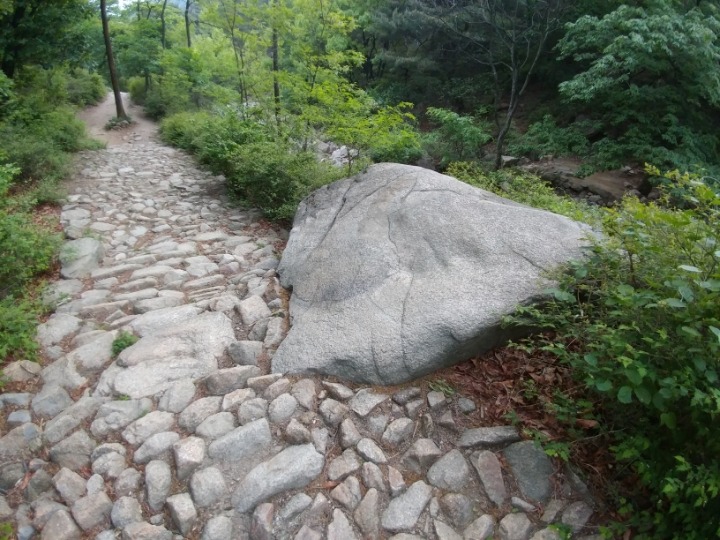아차돌 이미지