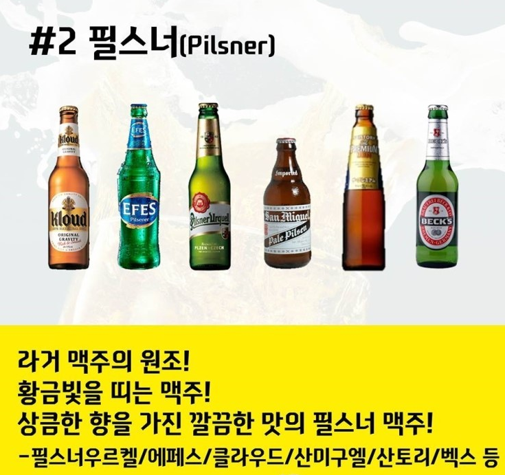 맥주의 세계.jpg | 인스티즈
