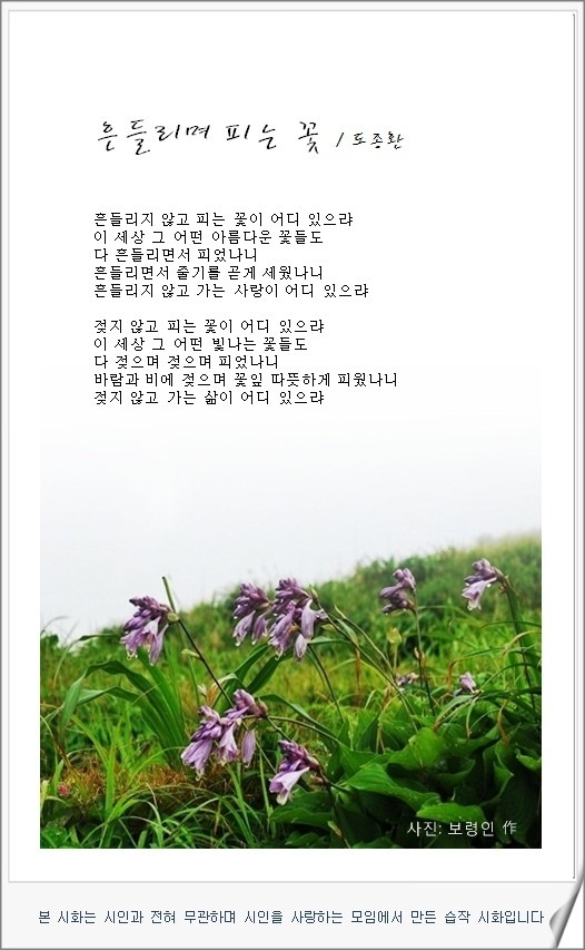 노래꽃피는마을 이미지