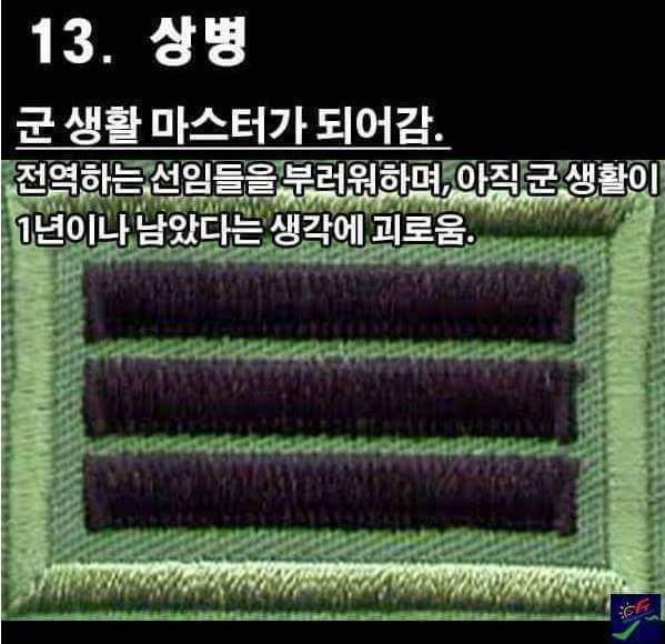 군입대후 남자들의 심정 | 인스티즈