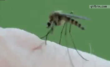 여러분! 제가 돌아왔습니다ㅏㅏㅏㅏㅏㅏㅏㅏ!!!! | 인스티즈