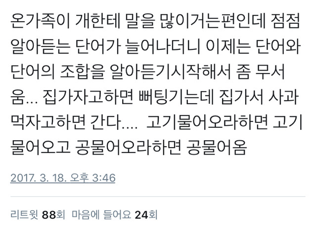 개 키우는 집 공감.twt | 인스티즈