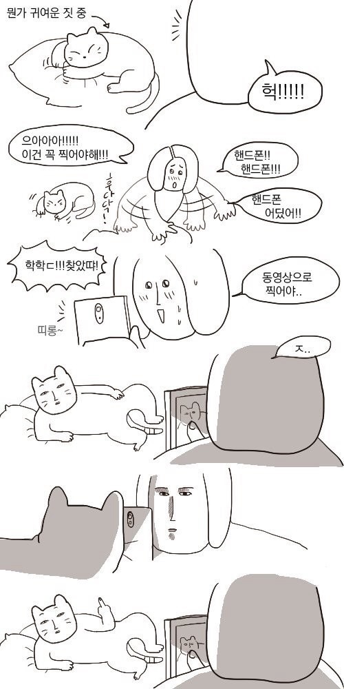 고양이 사진찍을 때 | 인스티즈