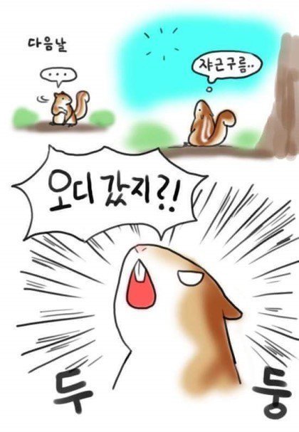 다람쥐가 묻은 도토리를 못찾는 이유 | 인스티즈