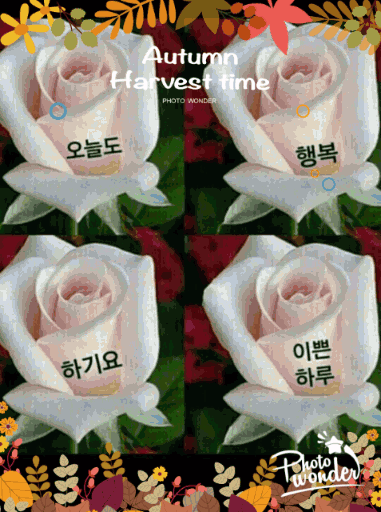 에스칼 이미지