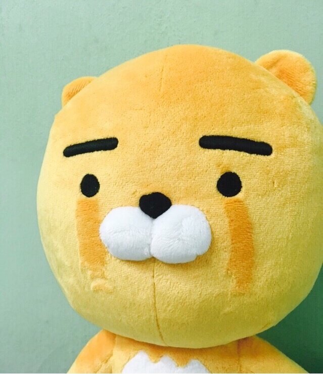 2016년 제가 직관간 경기 ㄷㄷ .JPG | 인스티즈