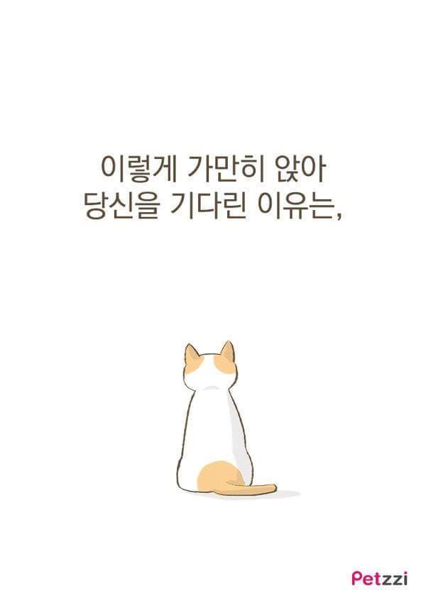 고양이가 화장실 앞에서 기다리고있는 이유(만화).jpg | 인스티즈