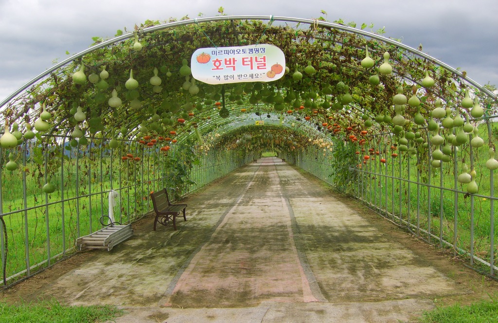 미르피아 이미지