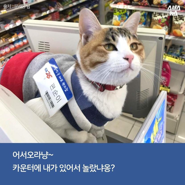 편순이 처음 보냥? | 인스티즈