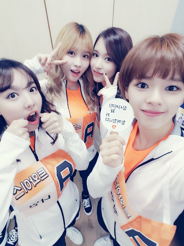 트와이스 트위터 | 인스티즈