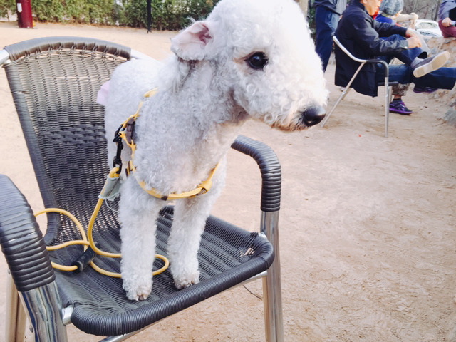 코코네 이미지