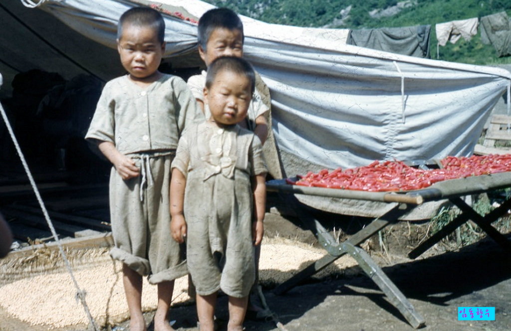 진달래먹고물장구치고 이미지