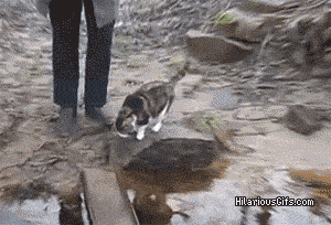 물이 너무 싫다 .GIF | 인스티즈
