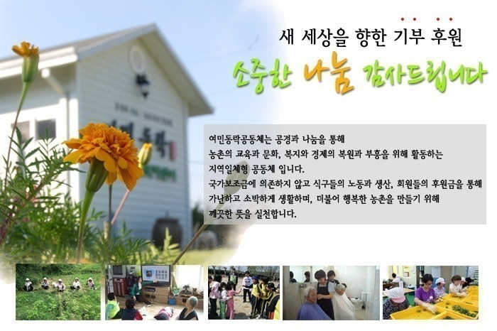 여수시니어클럽 이미지