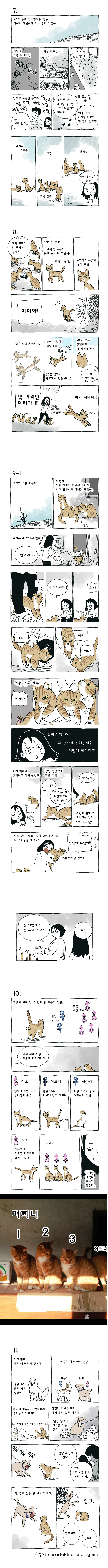 고양이 여덟마리와 살았다 | 인스티즈
