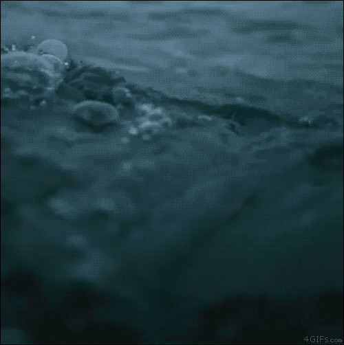 오금이 지리는 짤.GIF | 인스티즈