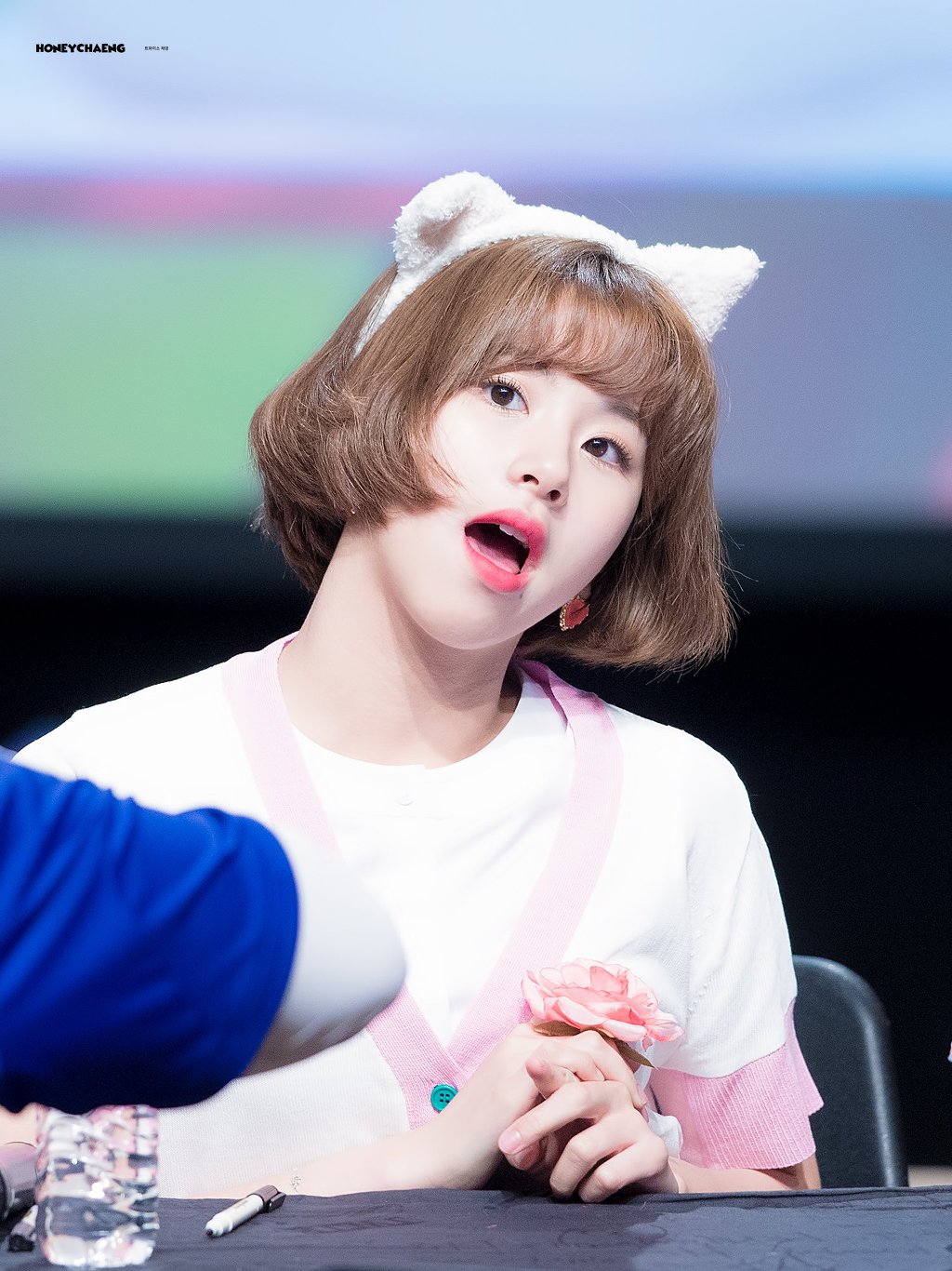 [2017] 월별 채영이 | 인스티즈