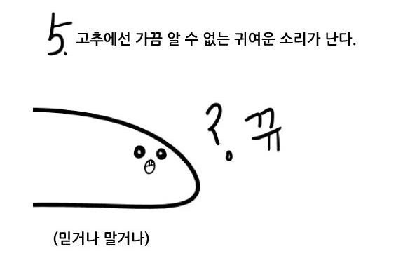여자는 잘 모르는 꼬추의 비밀 | 인스티즈