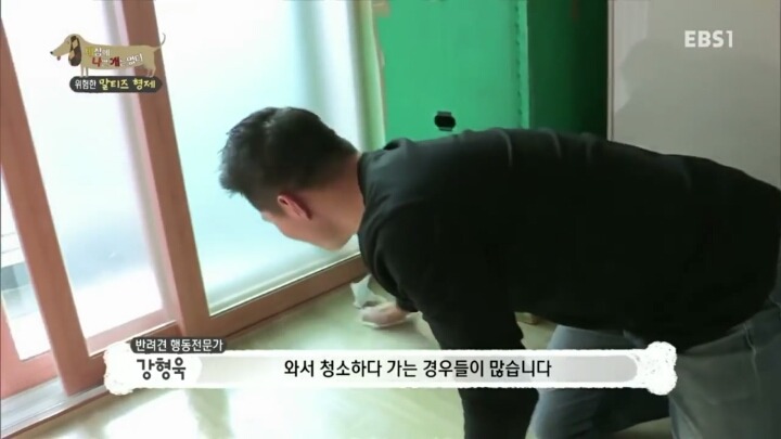 공격적인 반려견이 되는 이유 2부.jp | 인스티즈