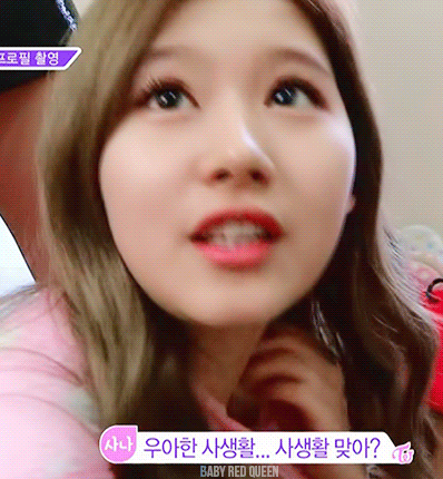 트와이스 사나가 살찌면..gif | 인스티즈