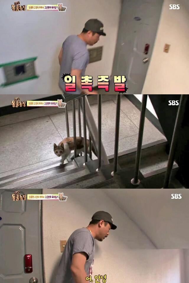 실패한 잠입취재 | 인스티즈