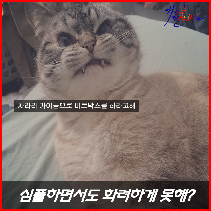 디자이너들이 가장 듣기 싫은 말말말!? | 인스티즈