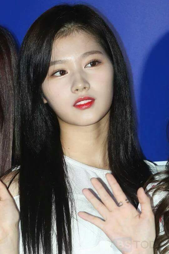 사나 정연이 나연이 | 인스티즈
