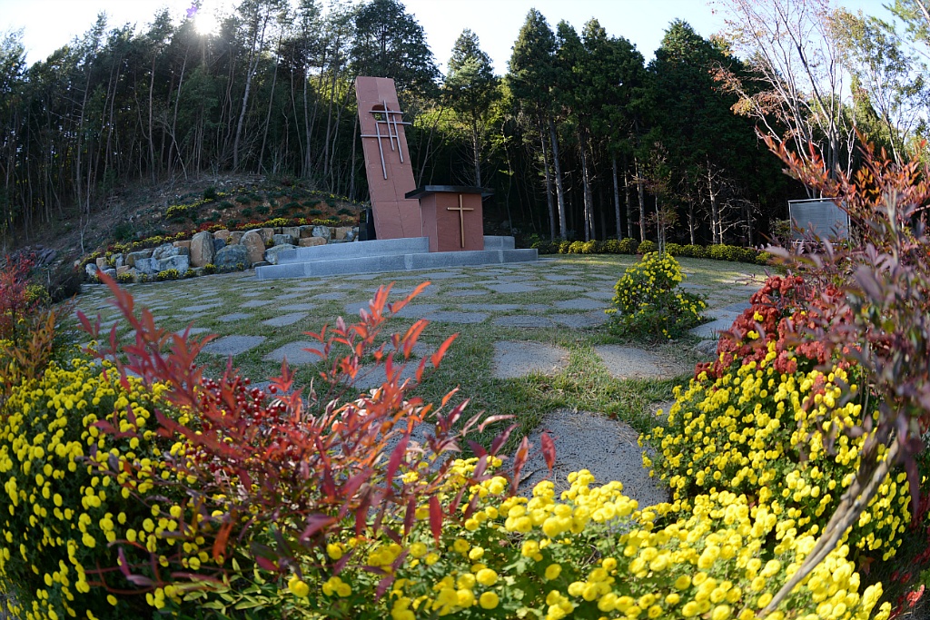 중앙스튜디오 이미지