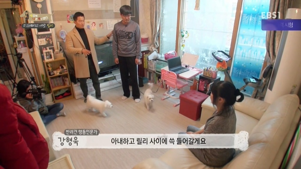 [세상에나쁜개는없다] 가족들에게 짖고 무는 강아지 릴리햏 | 인스티즈