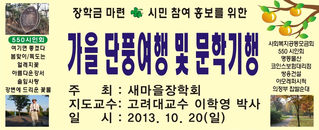 코인스인 이미지