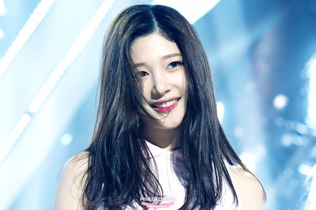 프로듀스 정채연 인생짤.gif | 인스티즈