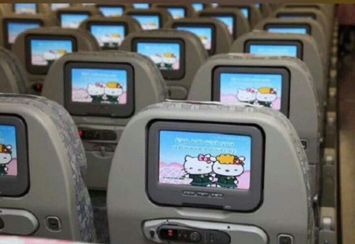 키티 비행기.jpg | 인스티즈