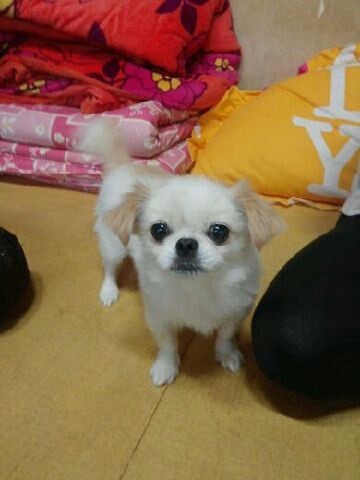 RE;우리 이미지