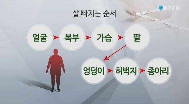 다이어트할때 살이 빠지는 순서 | 인스티즈