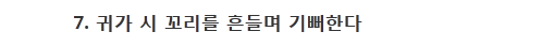 반려견이 당신을 사랑할 때 하는 행동 10가지 | 인스티즈