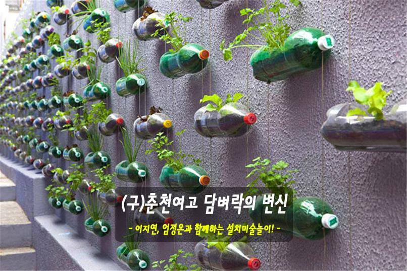 강원꽃식물원 이미지
