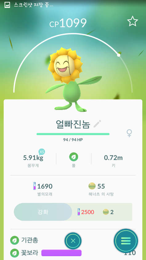 포켓몬 GO 작명 레전드 | 인스티즈