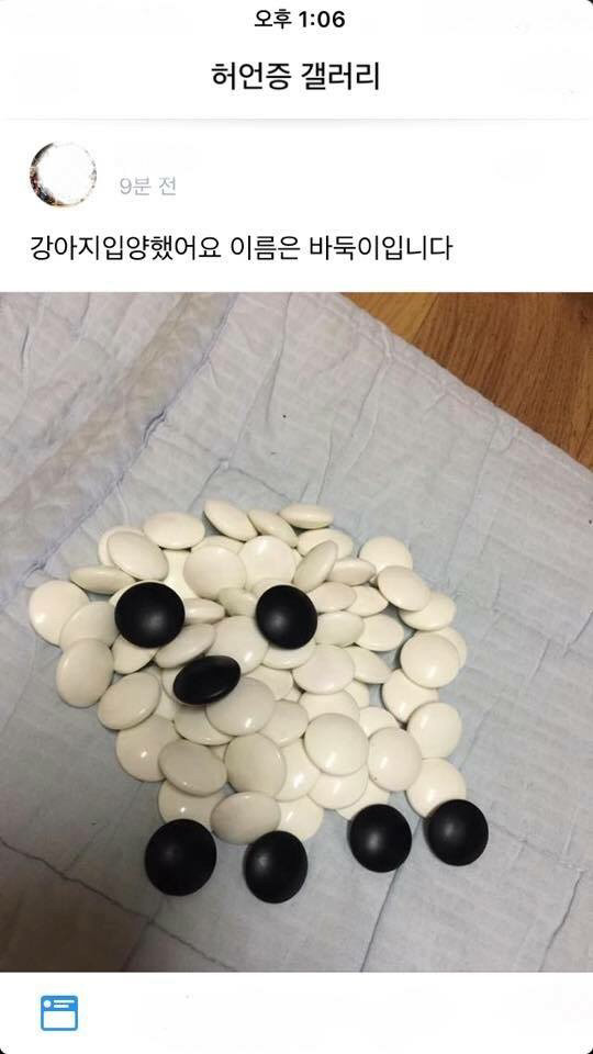 강아지를 입양했습니다 | 인스티즈
