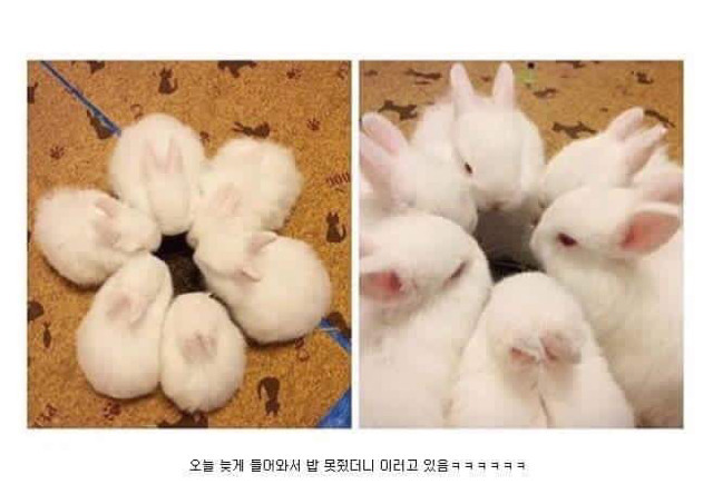 무언의 시위.jpg | 인스티즈