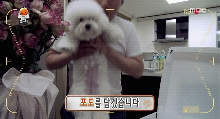 박명수 둘째딸 포도.jpg | 인스티즈