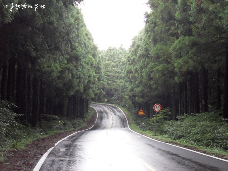 대한민국 최고의 드라이브코스들 총망라 | 인스티즈