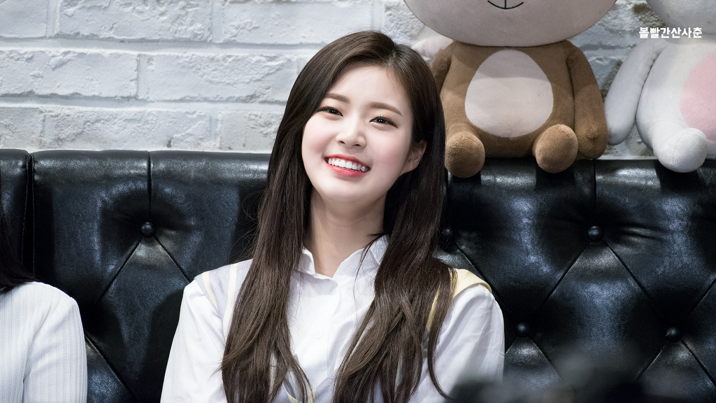 소나무와커피 이미지