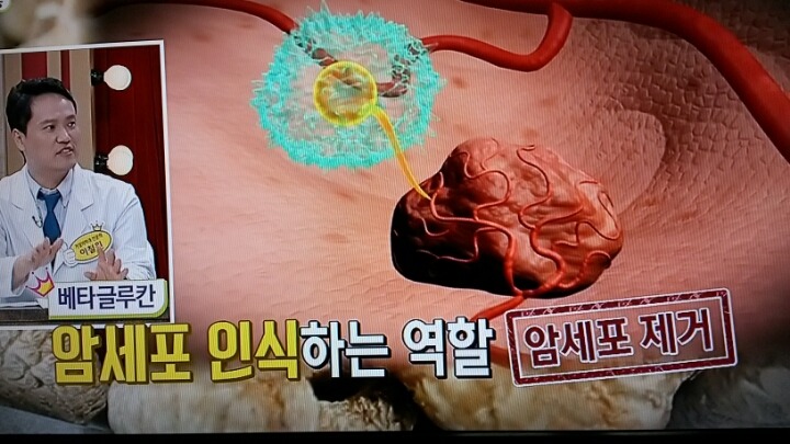 버섯과면역 이미지